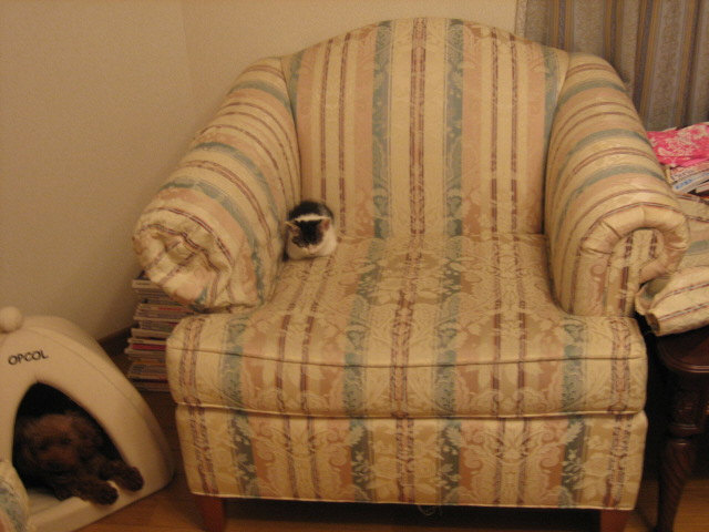 f0076952_022291.jpg