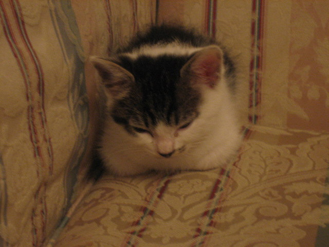 f0076952_051056.jpg