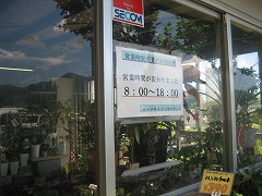 d0031853_1453243.jpg