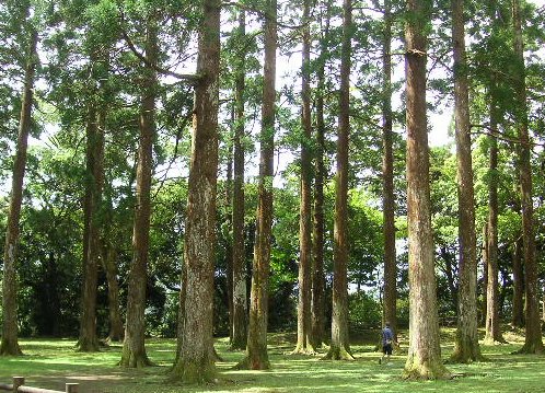f0082855_222156.jpg