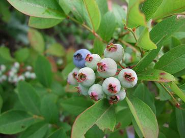 f0149057_23203351.jpg