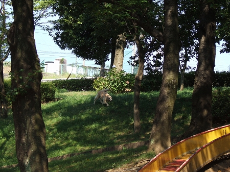 c0097558_1912131.jpg