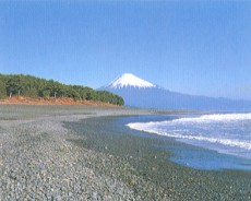 c0119160_1656126.jpg