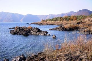 c0119160_188044.jpg