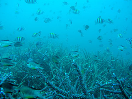 b0062363_20132993.jpg