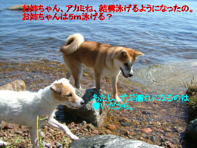 e0079166_2057163.jpg