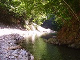 c0022767_931548.jpg