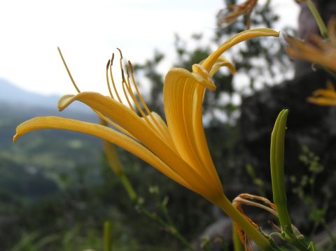 c0042869_22151818.jpg