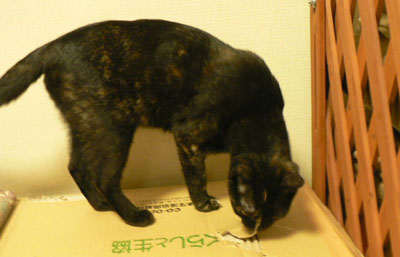 f0086169_1443127.jpg