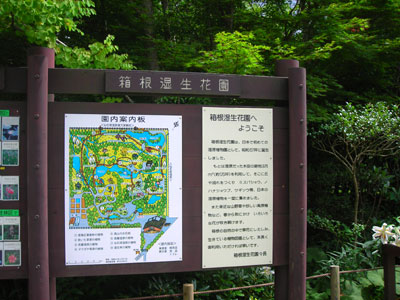 e0097770_1101648.jpg