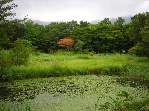 e0097770_1143416.jpg