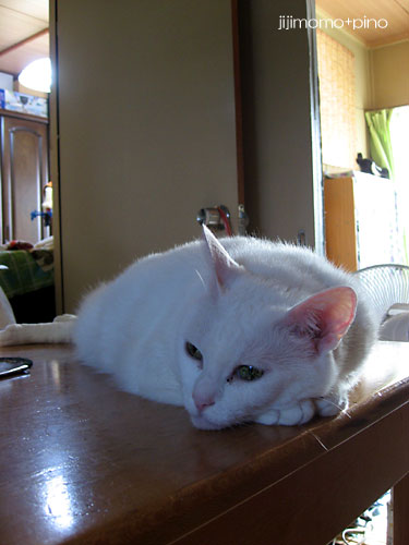 d0002472_2234736.jpg
