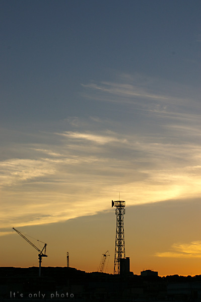 e0008800_1652970.jpg