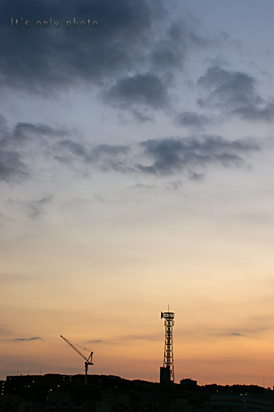 e0008800_1654482.jpg