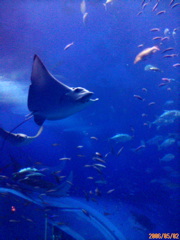 f0146602_2362837.jpg