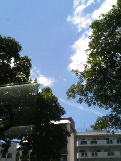 f0092906_1244435.jpg