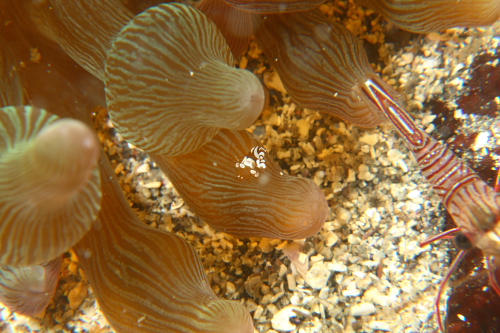 e0101911_131424100.jpg