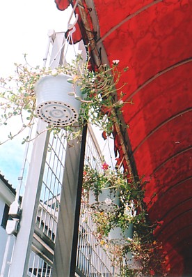 f0121111_4591576.jpg