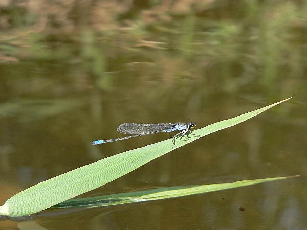 e0002314_21433573.jpg