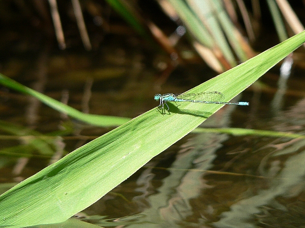 e0002314_21443628.jpg