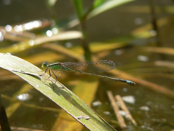 e0002314_22101352.jpg