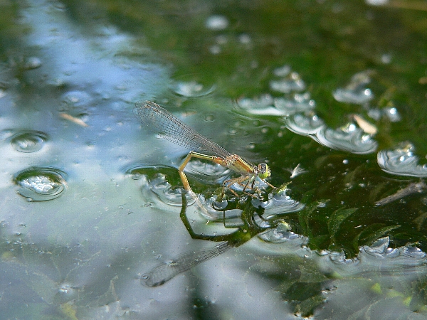 e0002314_22103373.jpg
