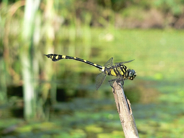 e0002314_2251813.jpg