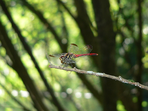 e0002314_228339.jpg