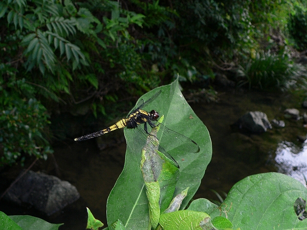 e0002314_2291873.jpg