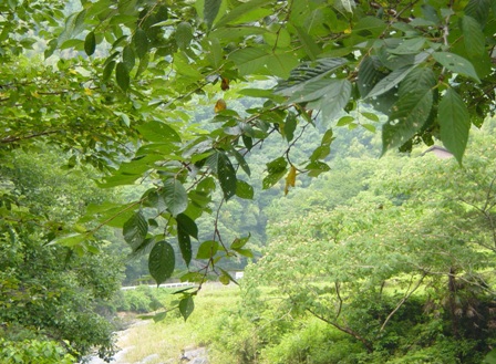 e0119017_2252416.jpg