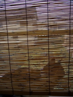 a0061023_1463458.jpg