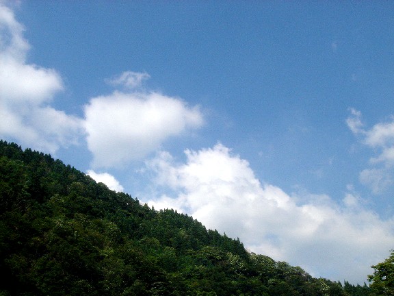 c0003723_20372566.jpg