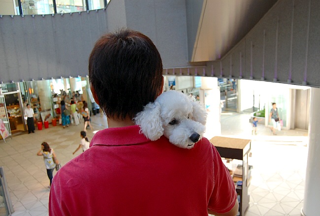 d0083623_2313722.jpg