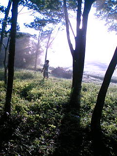e0057224_1741639.jpg