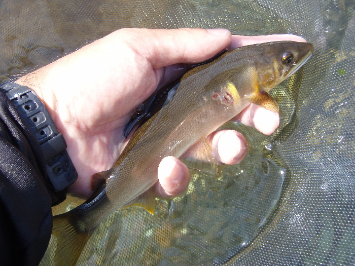f0103126_2124846.jpg