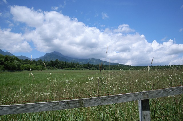 c0003830_053496.jpg