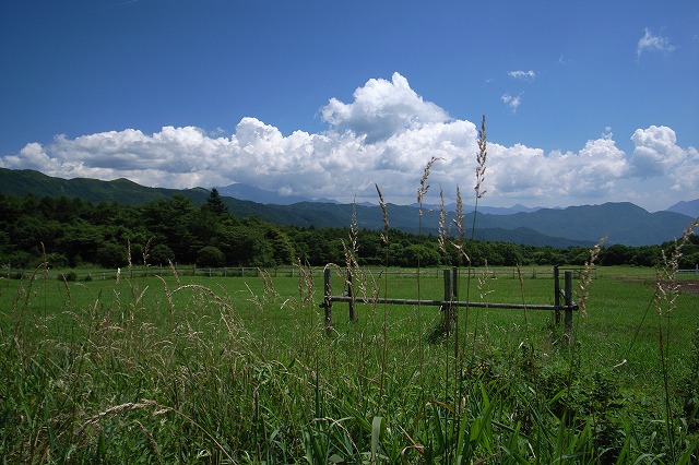 c0003830_112238.jpg