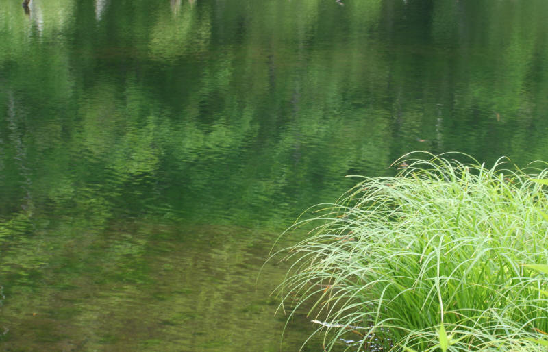 f0017530_1043253.jpg