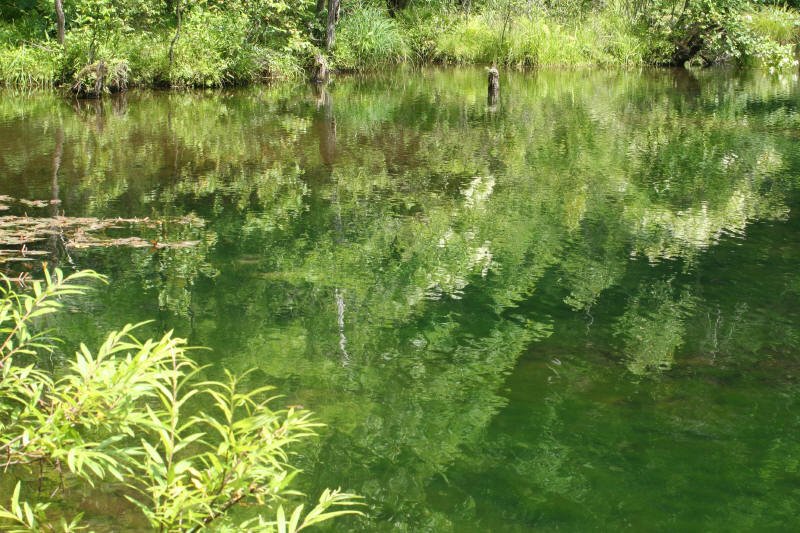 f0017530_1054280.jpg
