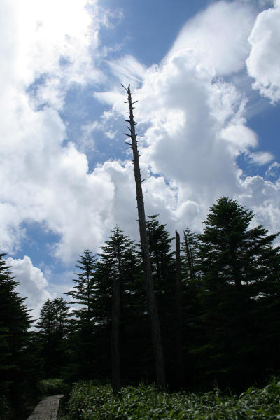 f0017530_1083034.jpg