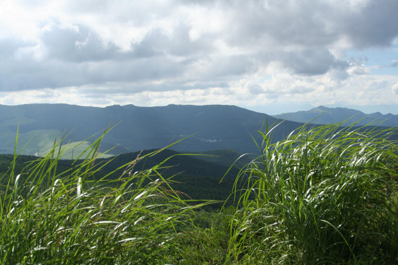 f0017530_1092763.jpg