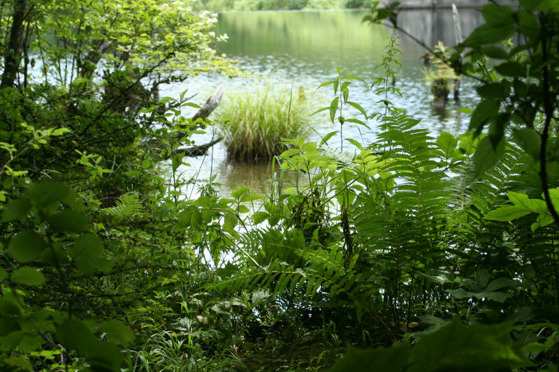 f0017530_109450.jpg