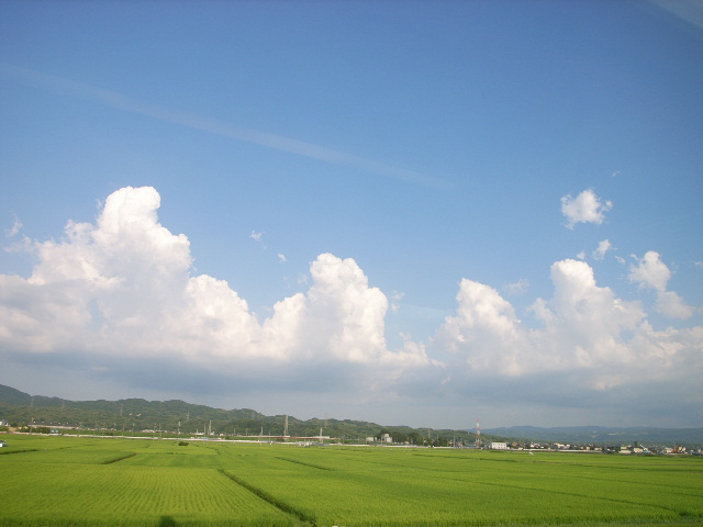 d0105133_229456.jpg