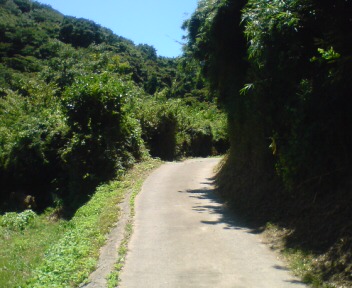a0013236_23223029.jpg