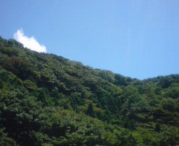 a0013236_23224126.jpg