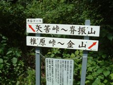 c0077338_20215114.jpg
