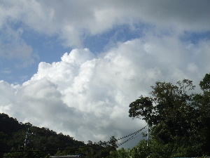 a0054240_21353190.jpg