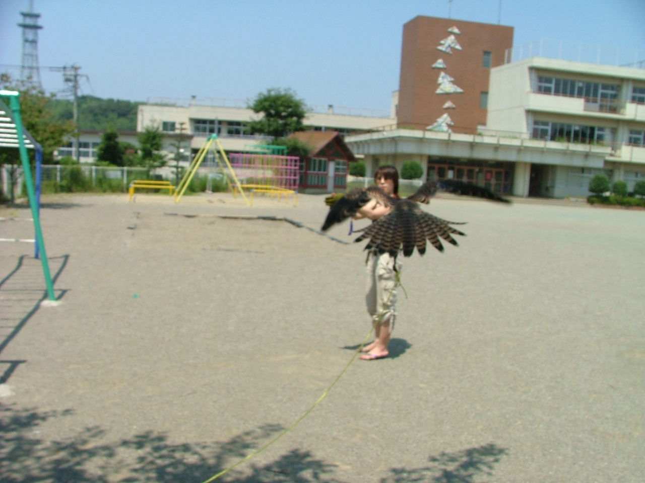 c0132048_136694.jpg