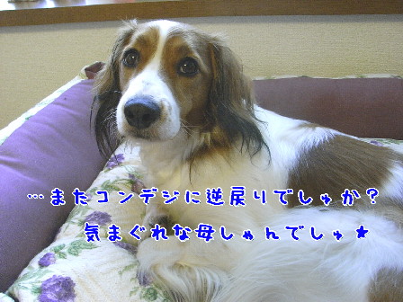 d0013149_040364.jpg