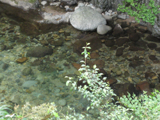 a0052952_18555155.jpg